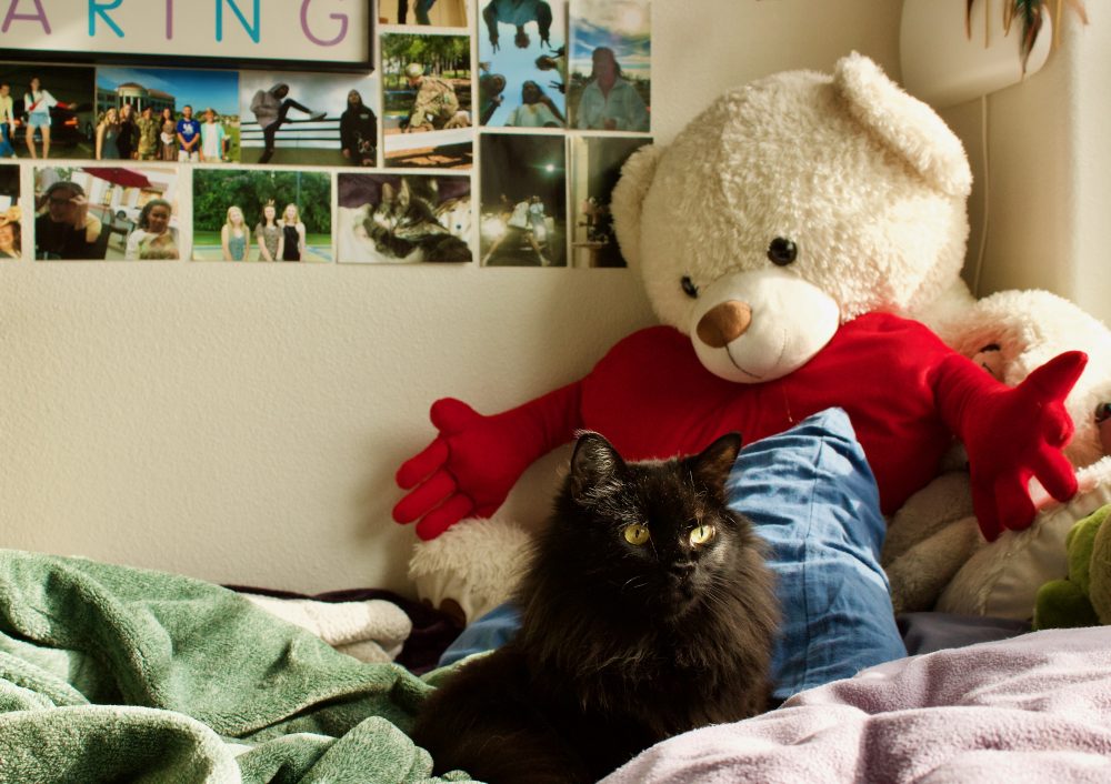 Photo of a black cat on a bed with colorful blankets and pillows, also a large teddy bear and heart behind the cat.