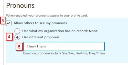 Change Your Pronoun In D2L Brightspace | Learning Technology Help Desk ...