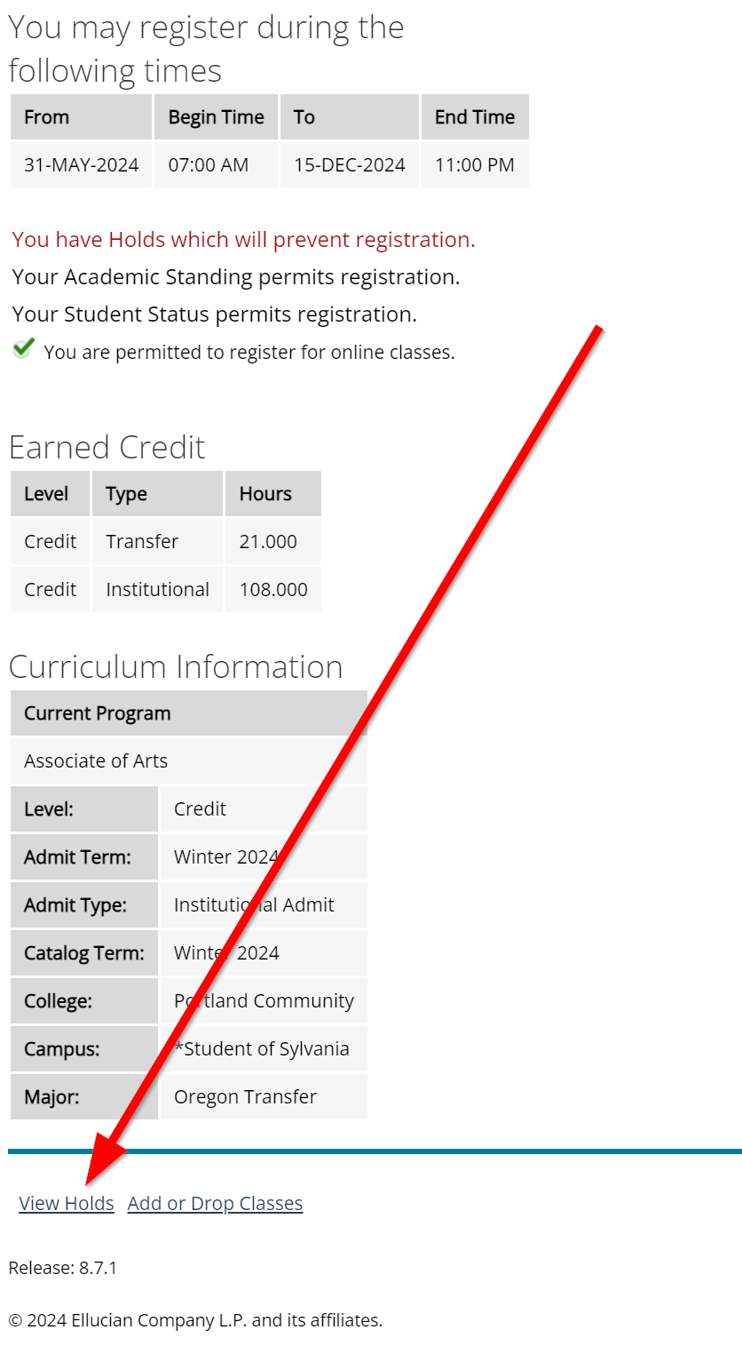 A red arrow pointing to the "View Holds" link at the bottom of the Registration Status page.