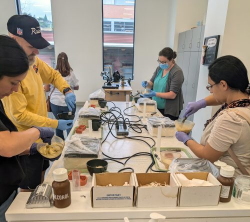 Creating molds in the dental lab at the Vanport Building.