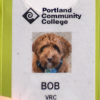 Bob's ID badge