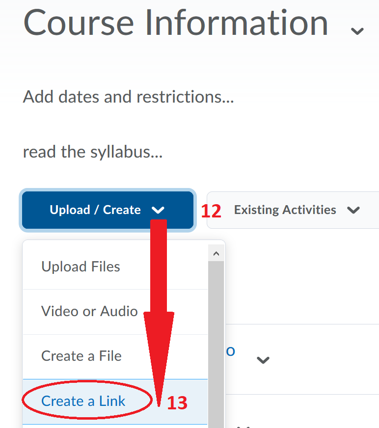Step 12: Click Upload/Create and Step 13: Select Create a Link
