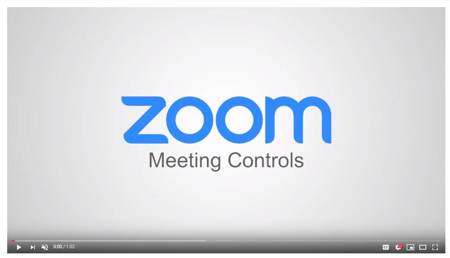 Zoom video link