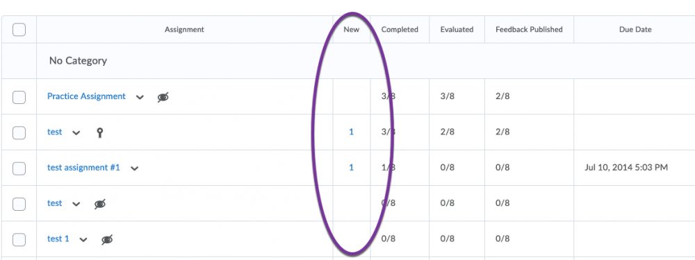 New column in assignment grading