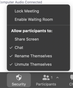 The new zoom security button lets you quickly manage participants.