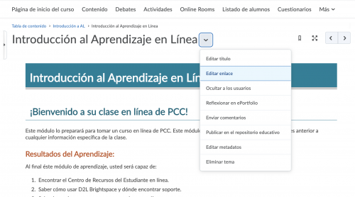 The Britghtspace interface in Spanish