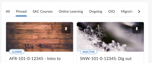 My Courses now has a Pinned category for classes