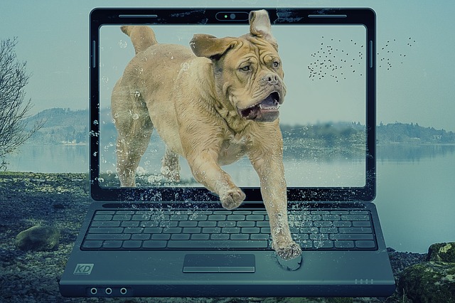 photo of dog bursting through a laptop screen