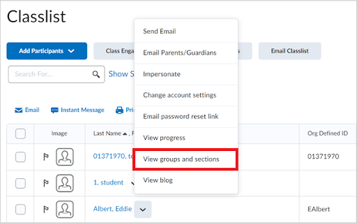 View groups and sections using the Classlist tool.