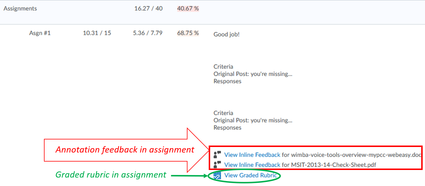 student-view-graded-rubric-annotation-assignment_in Grades