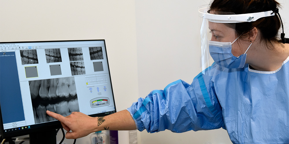 Student looking at dental x-rays