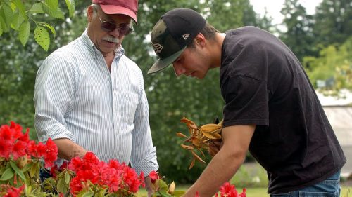 Program overview  Landscape Technology at PCC