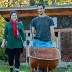 Wheel barrel in garden