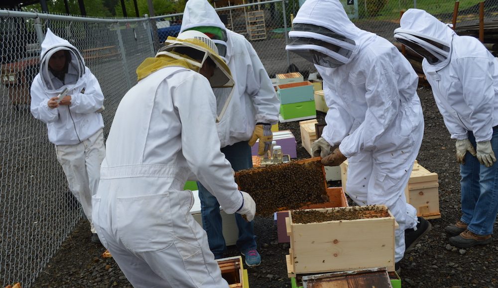 Beekeepers