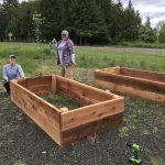 People building raised garden beds