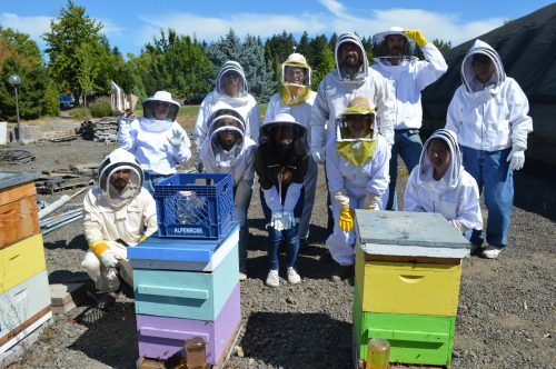 Students in beekeeper suits pose for group photo behind beehives.