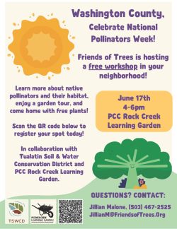 Pollinator Week Workshop information