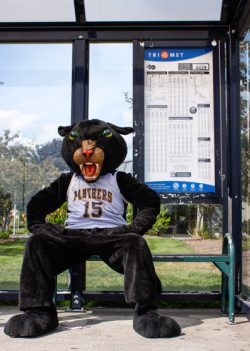 Poppe the Panther at a bus stop